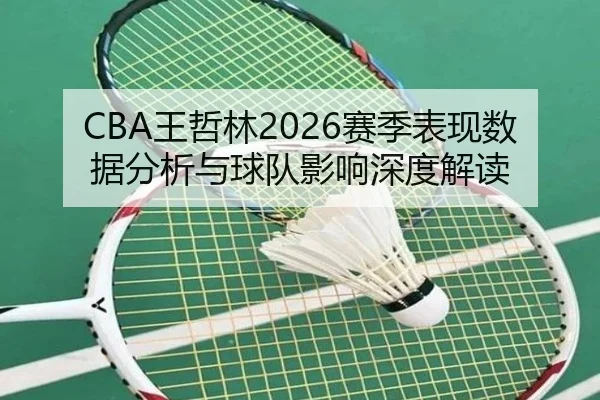 CBA王哲林2026赛季表现数据分析与球队影响深度解读